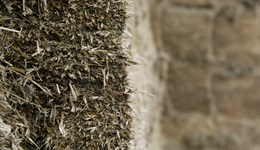 Variable weather conditions reflected in grass silage quality